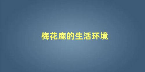 梅花鹿的生活环境