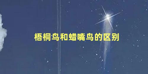 梧桐鸟和蜡嘴鸟的区别