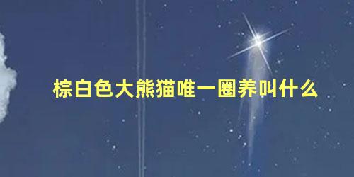 棕白色大熊猫唯一圈养叫什么