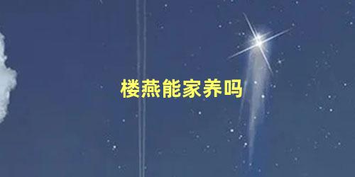 楼燕能家养吗