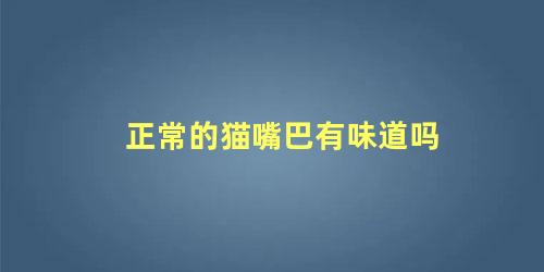 正常的猫嘴巴有味道吗