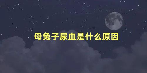 母兔子尿血是什么原因