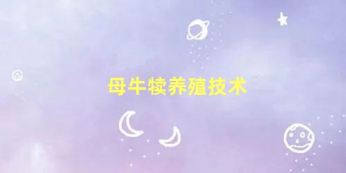 母牛犊养殖技术