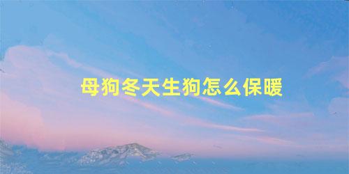 母狗冬天生狗怎么保暖