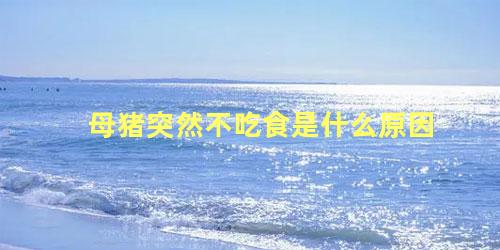 母猪突然不吃食是什么原因