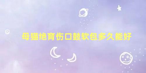 母猫绝育伤口鼓软包多久能好