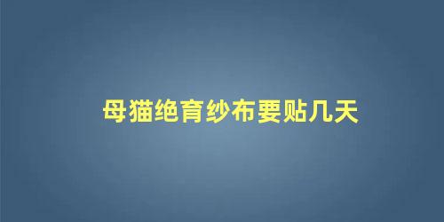 母猫绝育纱布要贴几天