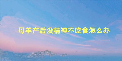 母羊产后没精神不吃食怎么办