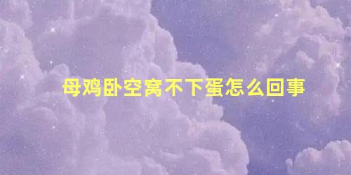 母鸡卧空窝不下蛋怎么回事