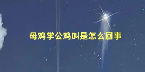 母鸡学公鸡叫是怎么回事
