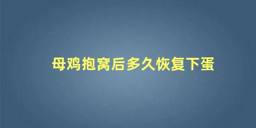 母鸡抱窝后多久恢复下蛋