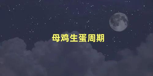 母鸡生蛋周期