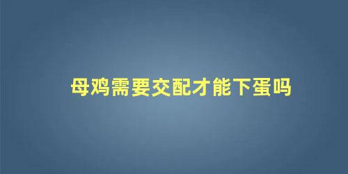 母鸡需要交配才能下蛋吗