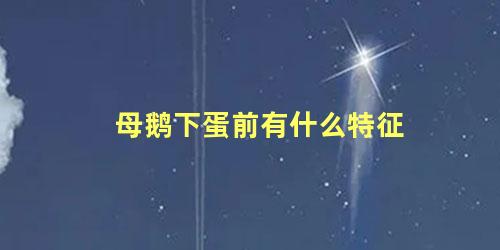 母鹅下蛋前有什么特征