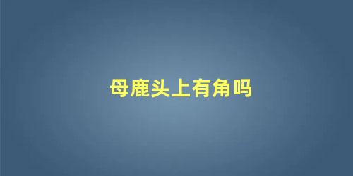 母鹿头上有角吗