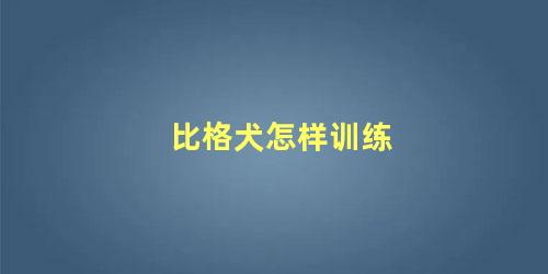 比格犬怎样训练