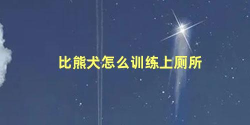 比熊犬怎么训练上厕所