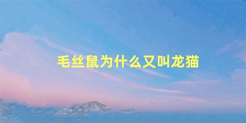 毛丝鼠为什么又叫龙猫