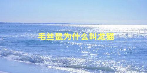 毛丝鼠为什么叫龙猫