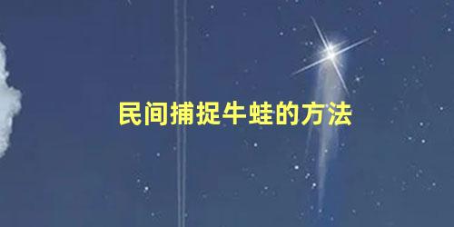 民间捕捉牛蛙的方法