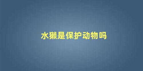 水獭是保护动物吗