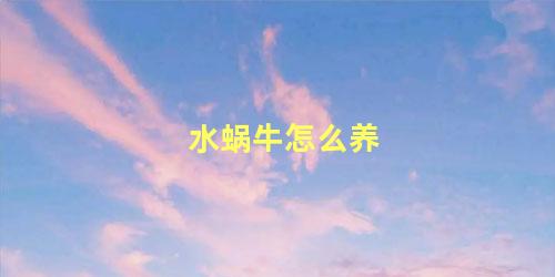 水蜗牛怎么养