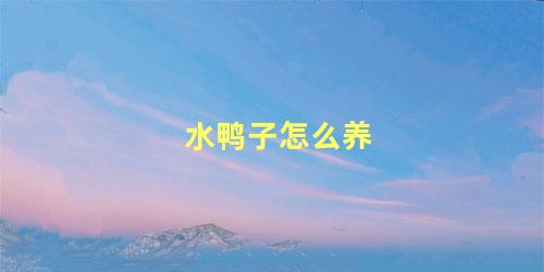 水鸭子怎么养