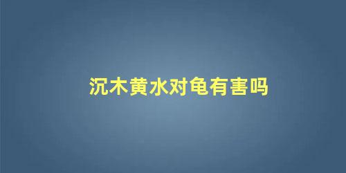 沉木黄水对龟有害吗