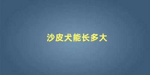 沙皮犬能长多大