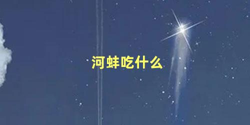 河蚌吃什么