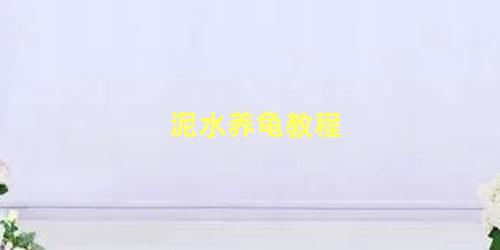 泥水养龟教程