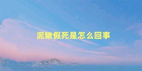 泥鳅假死是怎么回事