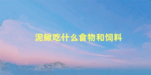 泥鳅吃什么食物和饲料