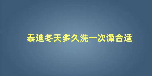 泰迪冬天多久洗一次澡合适