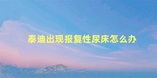 泰迪出现报复性尿床怎么办