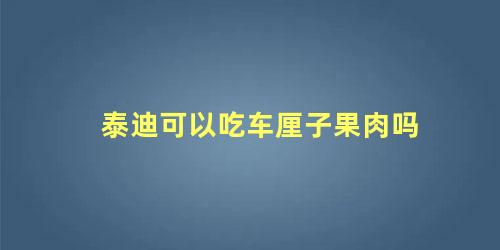 泰迪可以吃车厘子果肉吗