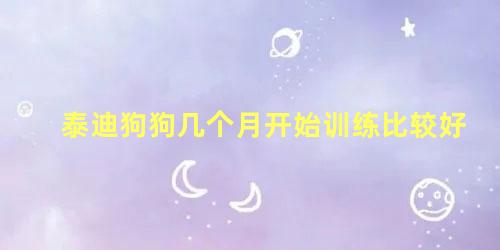 泰迪狗狗几个月开始训练比较好