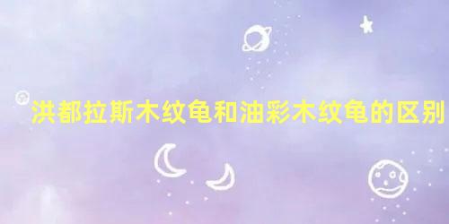 洪都拉斯木纹龟和油彩木纹龟的区别