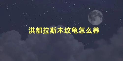 洪都拉斯木纹龟怎么养