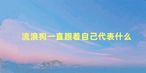 流浪狗一直跟着自己代表什么