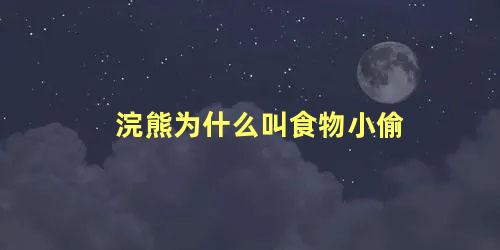 浣熊为什么叫食物小偷