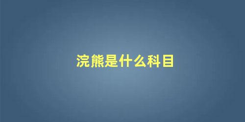 浣熊是什么科目