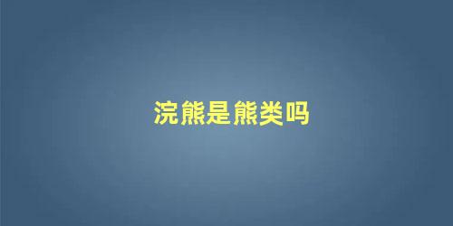 浣熊是熊类吗