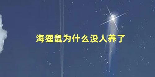 海狸鼠为什么没人养了