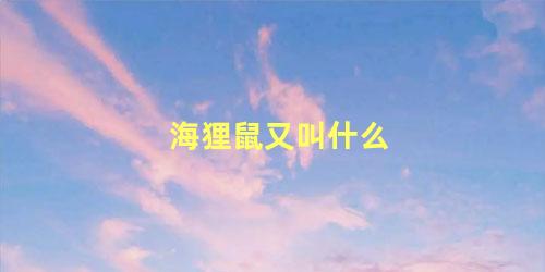 海狸鼠又叫什么
