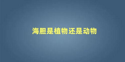 海胆是植物还是动物