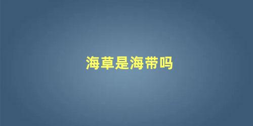 海草是海带吗
