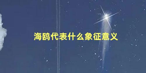 海鸥代表什么象征意义