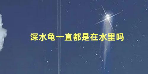 深水龟一直都是在水里吗