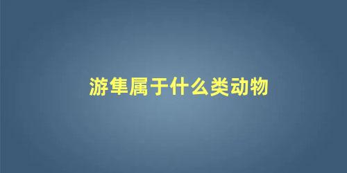 游隼属于什么类动物
